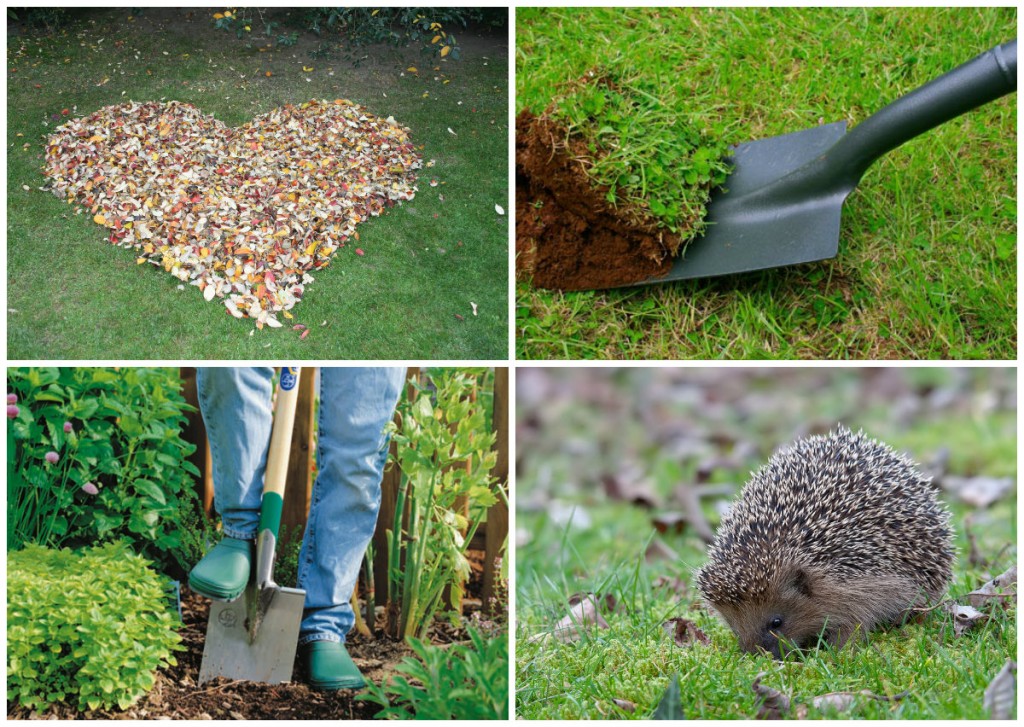 5 Schritte zum perfekten Rasen im Frühjahr ...